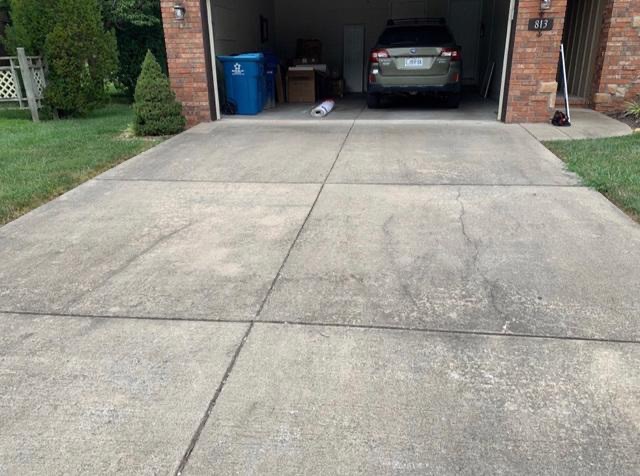DRIVEWAY & CONCRETE CLEANING before cleaning
